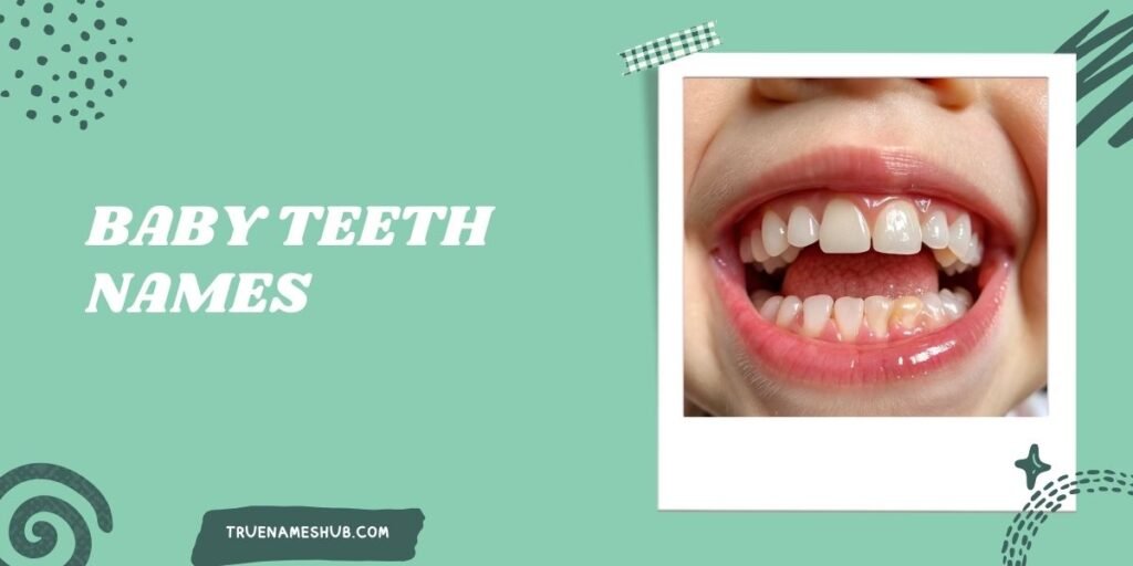 Baby Teeth Names