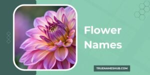 Flower Names