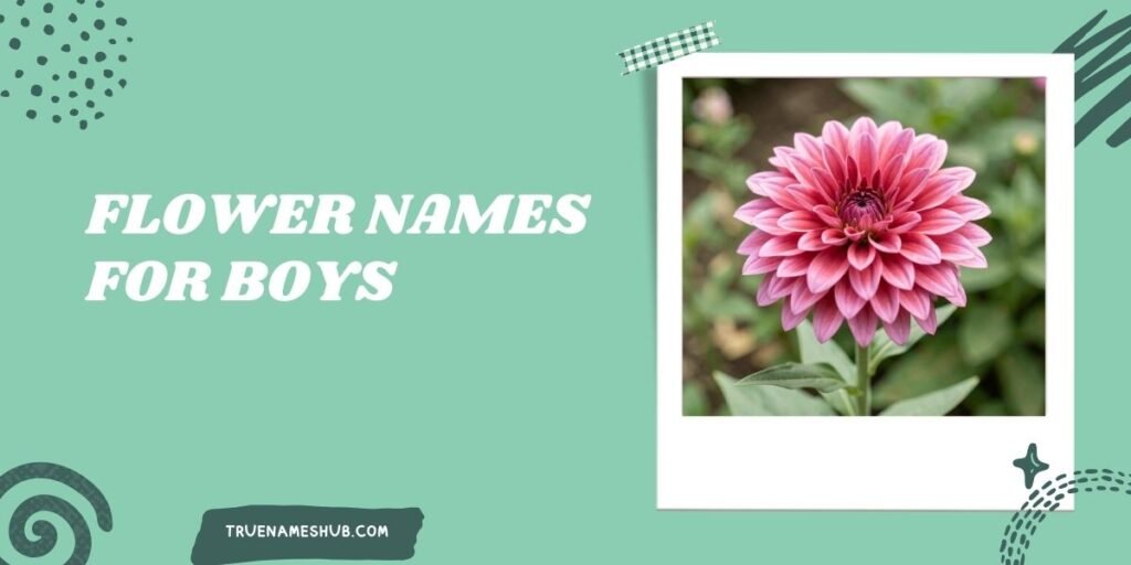 Flower Names for Boys