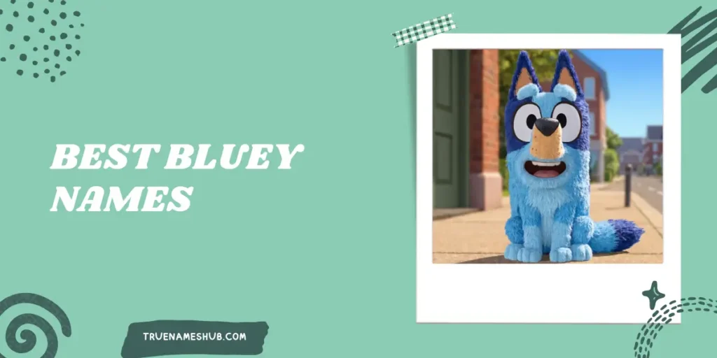 Best Bluey Names