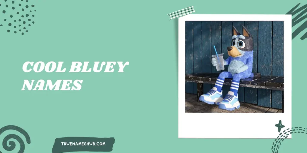 Cool Bluey Names