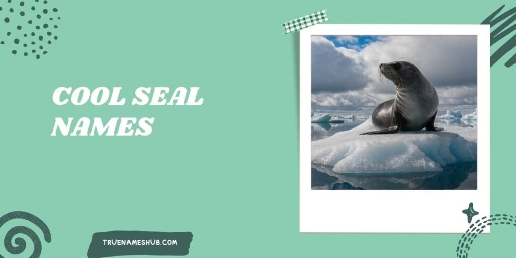 Cool Seal Names