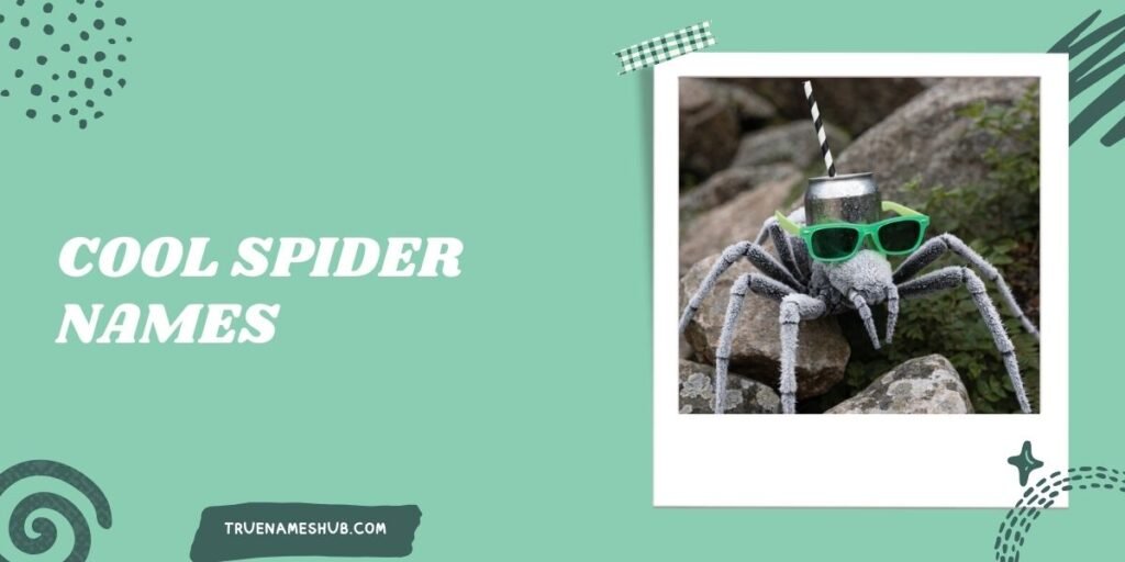 Cool Spider Names