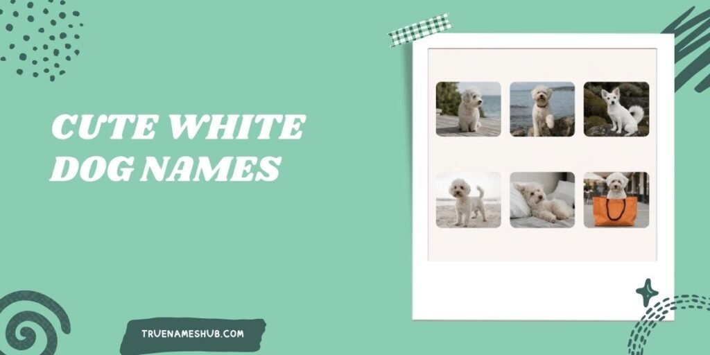 Cute White Dog Names
