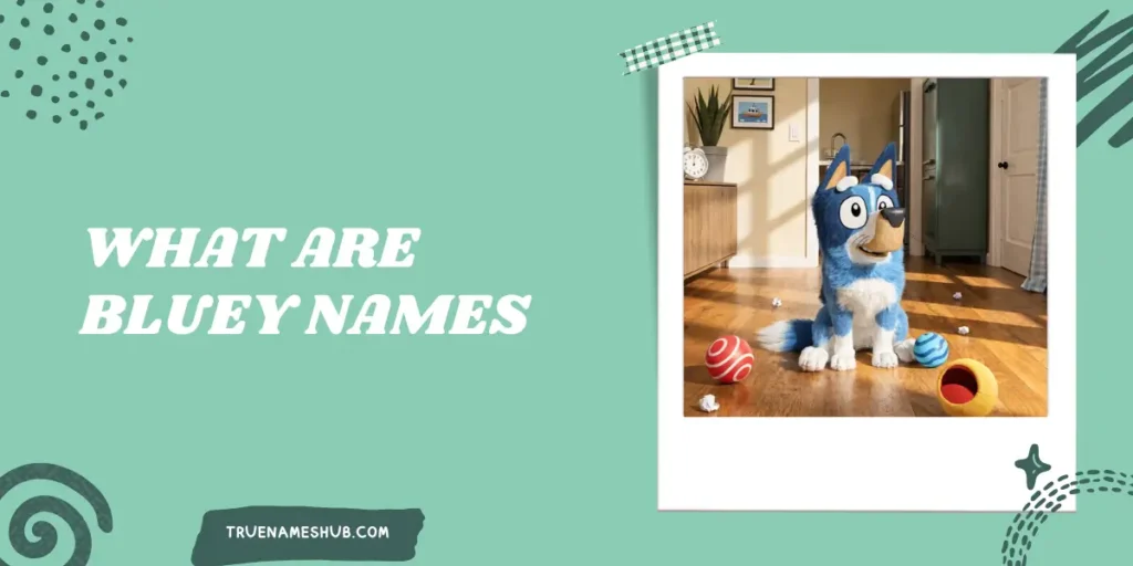 What Are Bluey Names