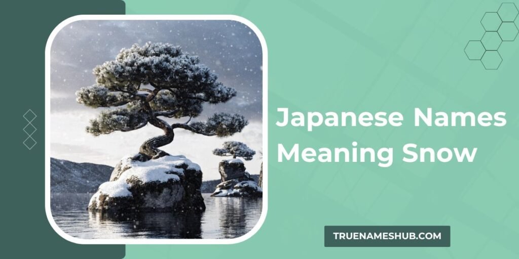 Japanese Names Meaning Snow