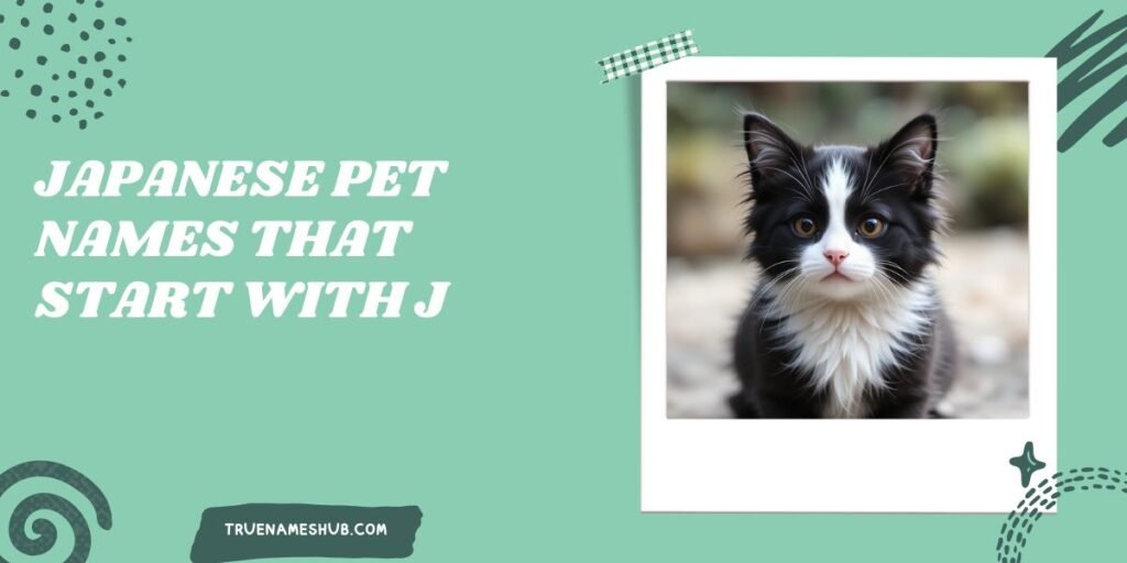 Japanese Pet Names That Start With J