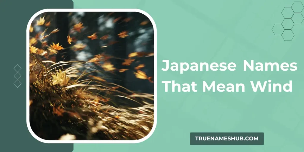 Japanese Names That Mean Wind