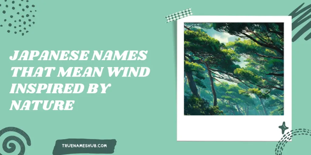 Japanese Names That Mean Wind Inspired By Nature