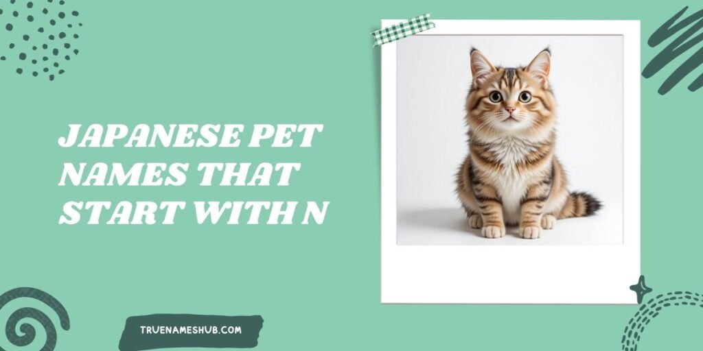 Japanese Pet Names That Start With N
