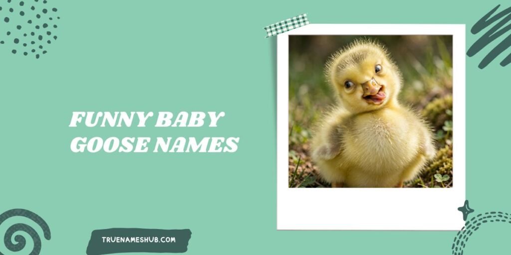 Funny Baby Goose Names