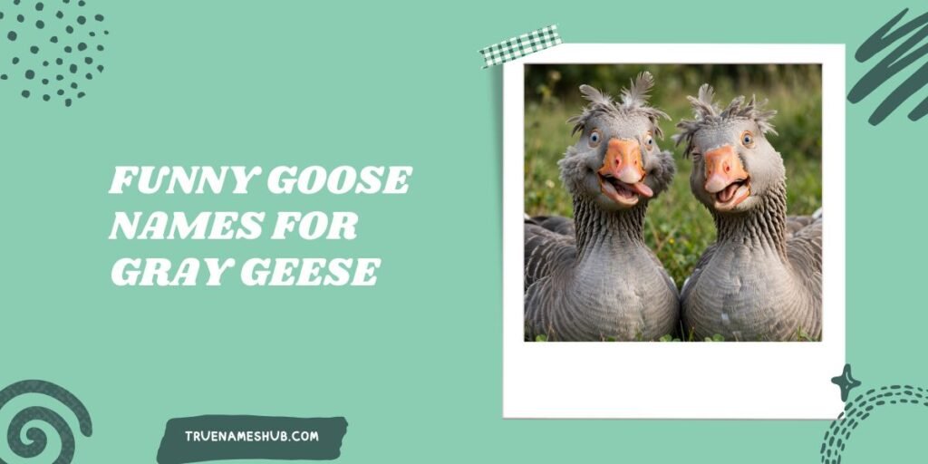 Funny Goose Names For Gray Geese