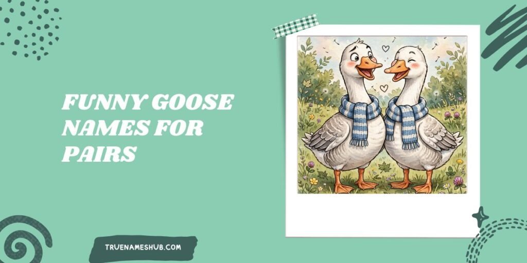 Funny Goose Names For Pairs