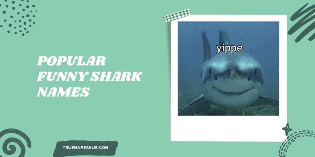 Popular Funny Shark Names