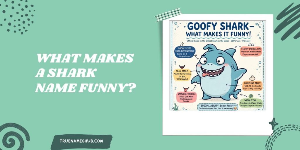 What Makes A Shark Name Funny