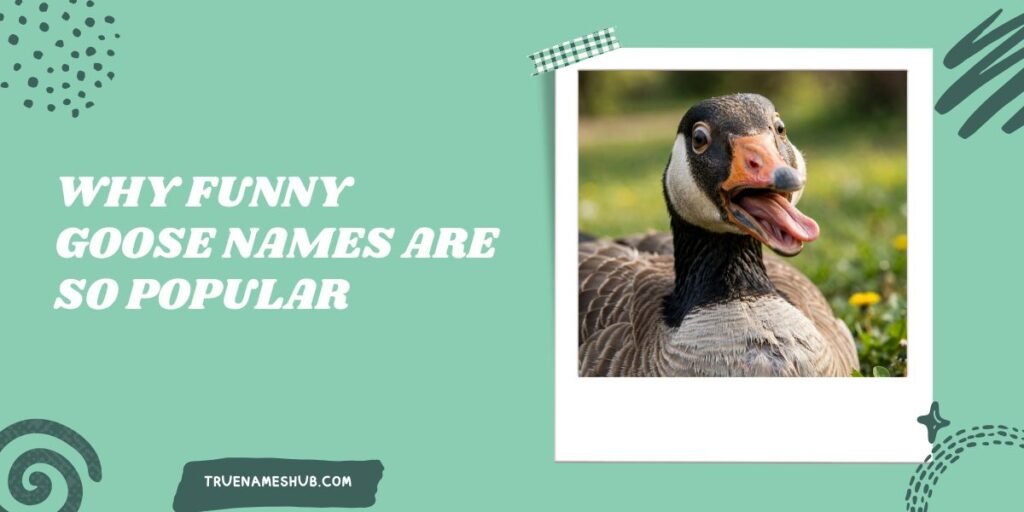Why Funny Goose Names Are So Popular